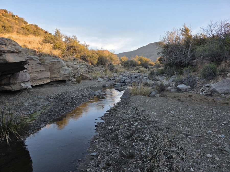 0 Bedroom Property for Sale in Middelburg Rural Eastern Cape